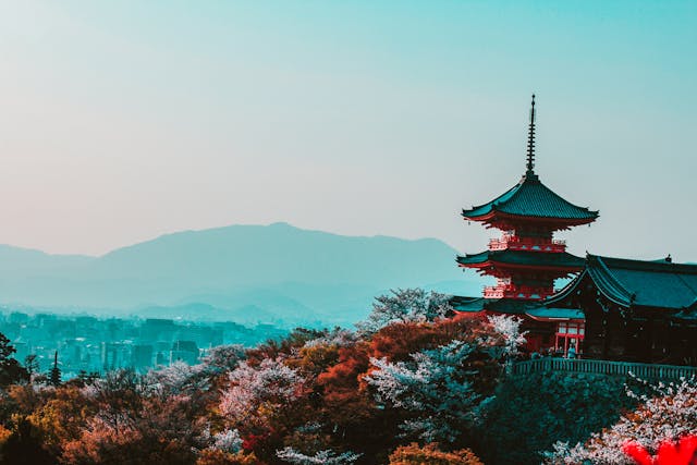 Why does everyone travel to Japan?